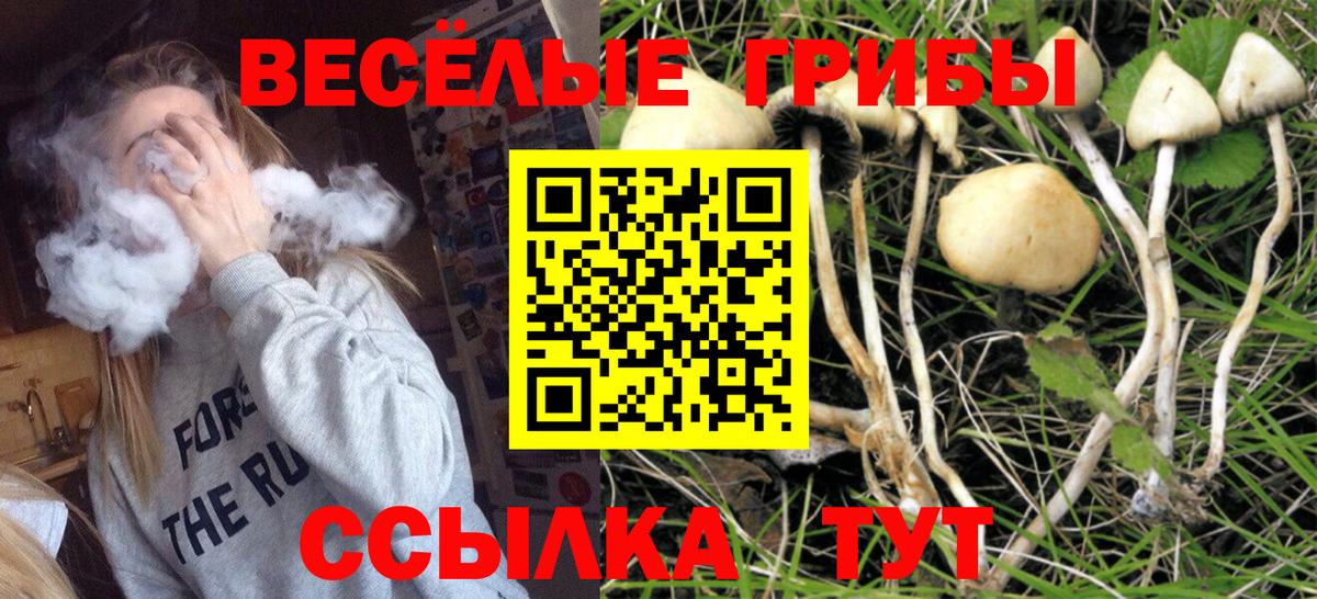 Псилоцибиновые грибы MAGIC MUSHROOMS Павловский Посад