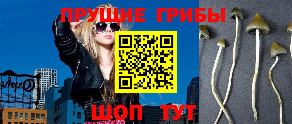 Галлюциногенные грибы мицелий  Вход с VPN  Павловский Посад  Псилоцибиновые грибы мицелий 